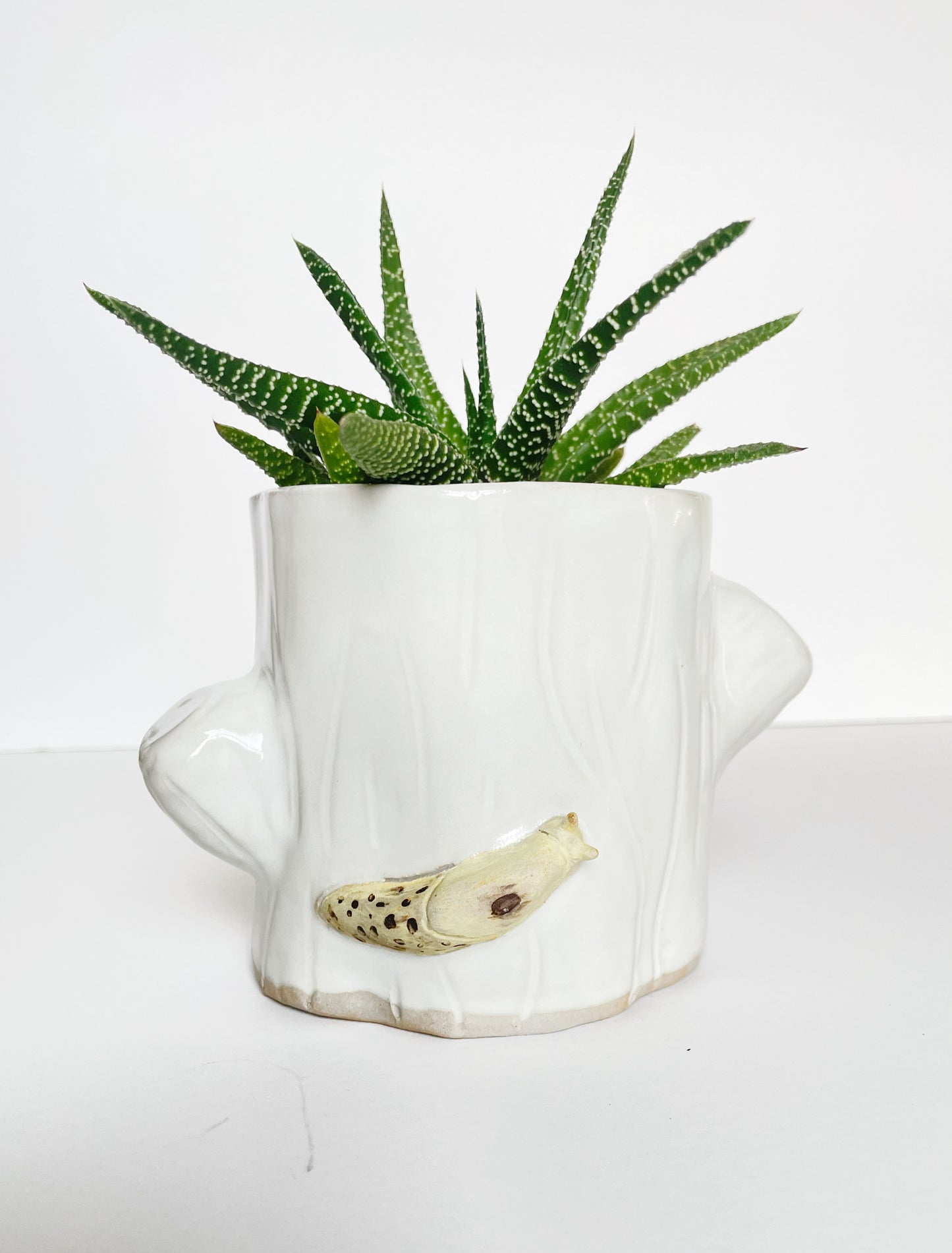 Tree Stump Succulent Planter with Banana Slug
