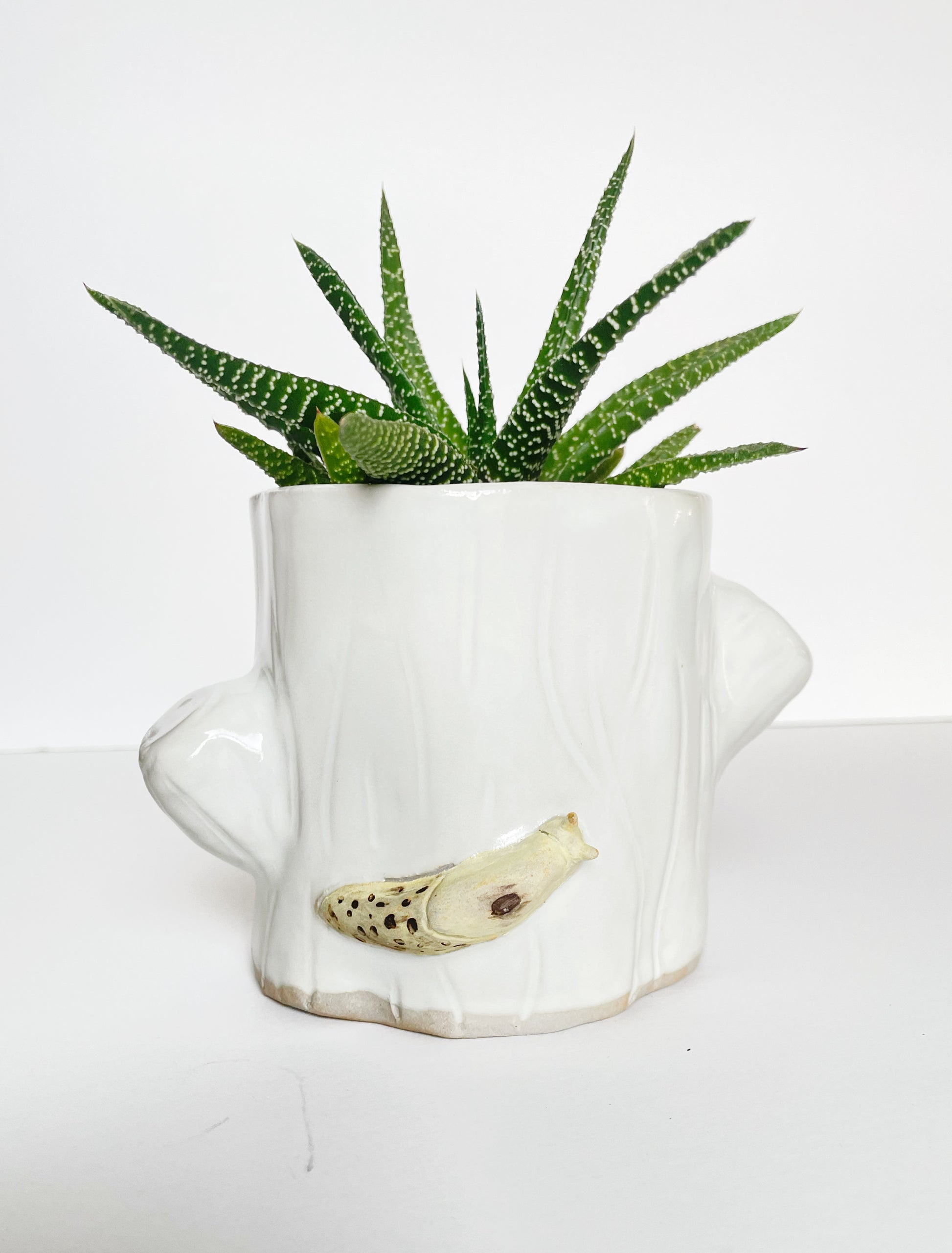 stump succulent planter Tree Stump Succulent Planter with Banana Slug – The Paper Mama Shop
